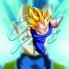Vegeta Give Away Logo.jpg