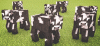 tumblr_mkhwooJA2H1rpm29co2_500.gif
