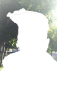 IMG_1719.png
