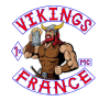 Vikings 4.png
