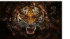 Kandy MINI Exclusive GFX PACK.png