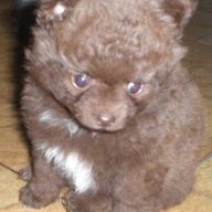 madnessdark69