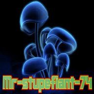 mr-stupefiant-74