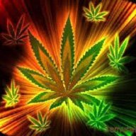 ZxWeeeDxZ