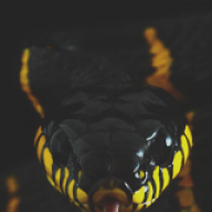 MoDZz_XV-BYPASS