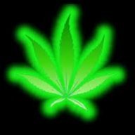 weedman59