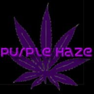 Purple_Haze