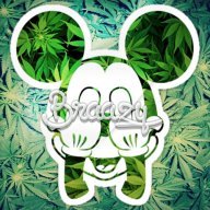 Braazy