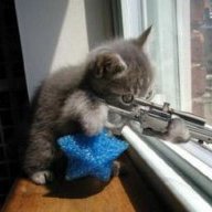 lechat10