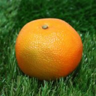 Mandarine