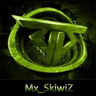Skiwiz