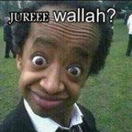 Buzz Alarabika