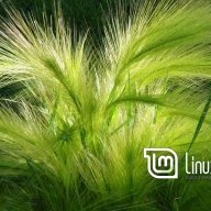 trinuk