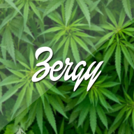†Zergy†