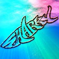 OneShark