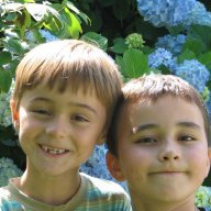 the dreiikz