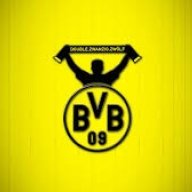 BVB 09