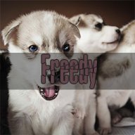MIZ™ | Freedy |