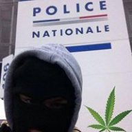 NsModding