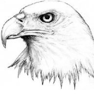 Eagle2109
