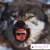 loupphil