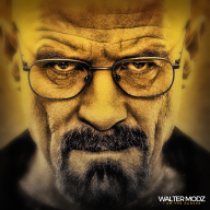 Walter modz