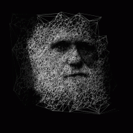 i3D