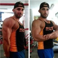 LudoBody