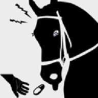 Capitaine Poney