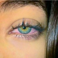 zoko77