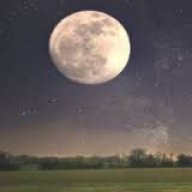 Moonnight