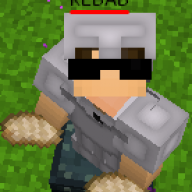 Mettalidion