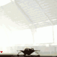 -Kango-