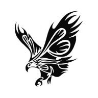 EagleWatch