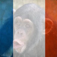 The French Monkey