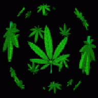 amnezia v1