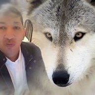 Birouk