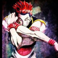 Hisoka-hunt