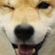 Est_Fun