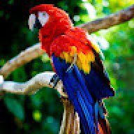 Rainbow_GM1