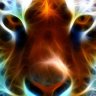 Execro