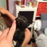 Dodo83143
