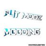 FL|T MODZ