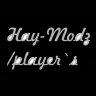 Hay-Modz/Player