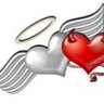 miinnf12