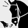 Capitaine Poney