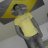 Aaroninus