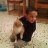 abdel12