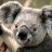 Krusty_02-