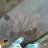 flostar952